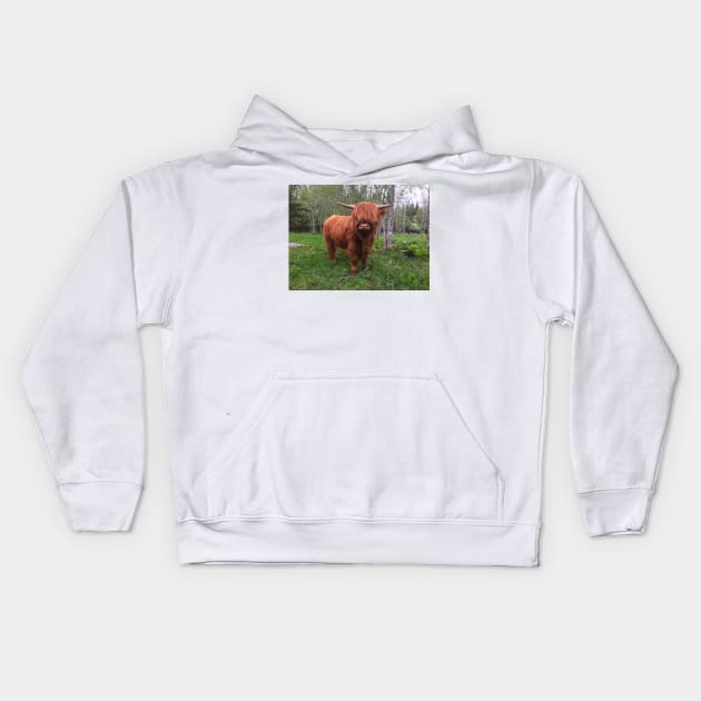 Scottish Highland Cattle Calf 2004 Kids Hoodie by SaarelaHighland